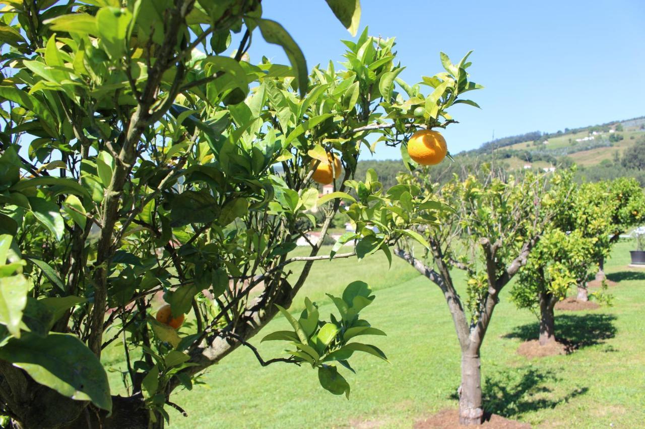 Posada El Campo Secadura エクステリア 写真